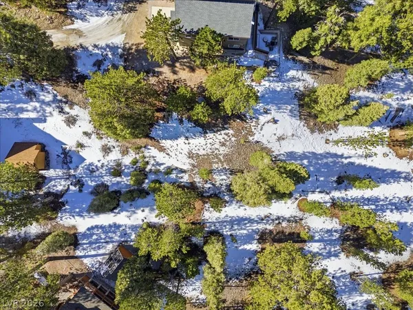 $250,000 | 2209 Via Spes Nostra Street, Mount Charleston, NV 89124