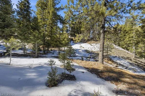 $250,000 | 2209 Via Spes Nostra Street, Mount Charleston, NV 89124