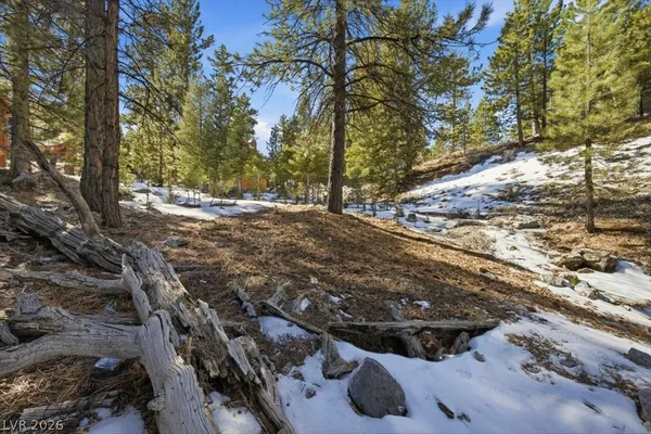 $250,000 | 2209 Via Spes Nostra Street, Mount Charleston, NV 89124