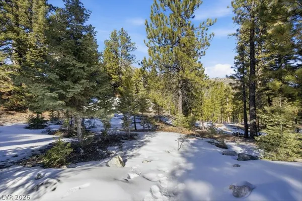 $250,000 | 2209 Via Spes Nostra Street, Mount Charleston, NV 89124