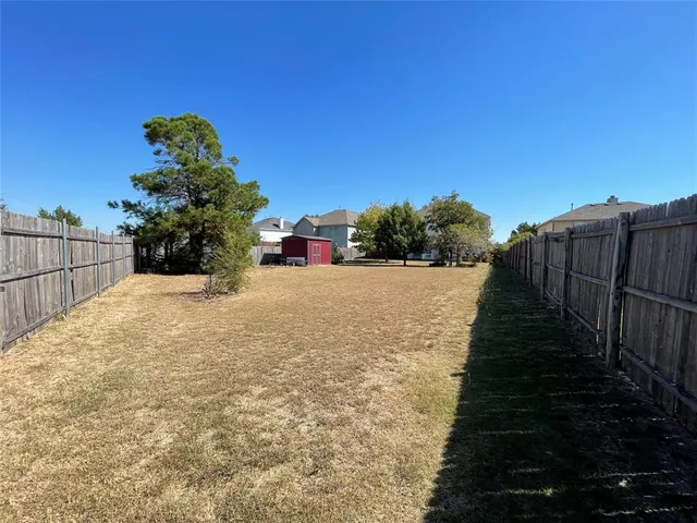 a street view covered with tall trees