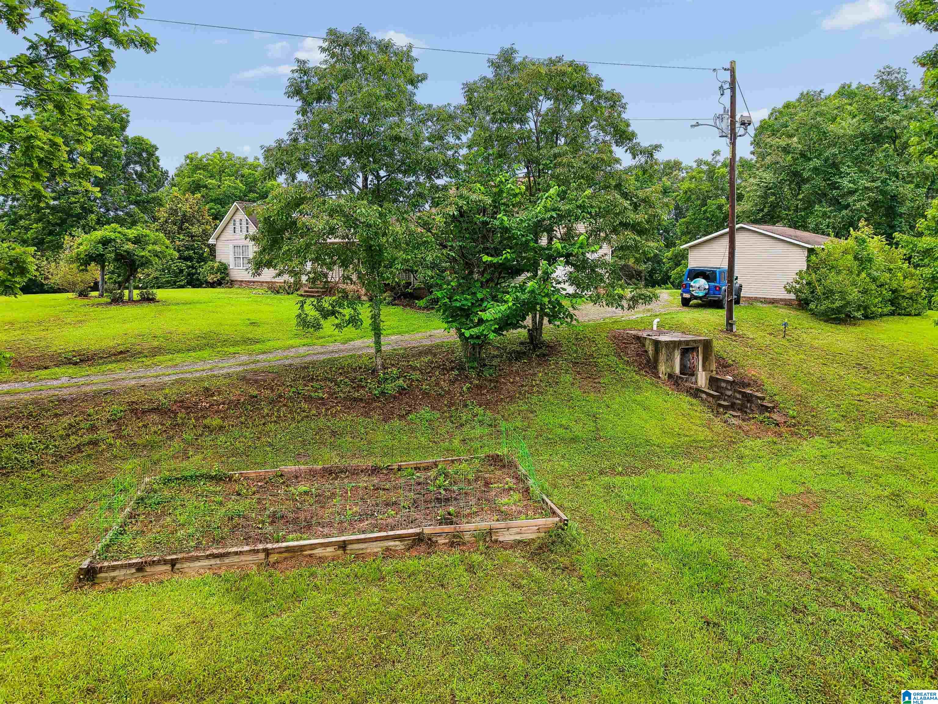 2919 Old Pineywoods Road Jasper, AL 35504 - Photo 5 of 56
