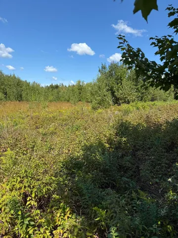 $300,000 | M34-l14a M34-l14a Hinckley Ridge, Blue Hill, ME 04614