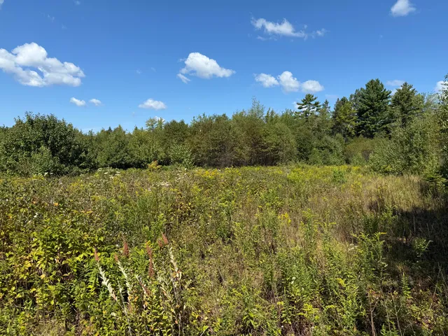 $300,000 | M34-l14a M34-l14a Hinckley Ridge, Blue Hill, ME 04614