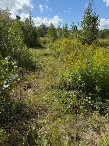 $300,000 | M34-l14a M34-l14a Hinckley Ridge, Blue Hill, ME 04614