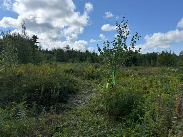 $300,000 | M34-l14a M34-l14a Hinckley Ridge, Blue Hill, ME 04614