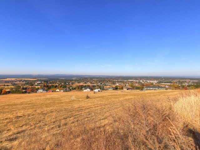 6315 South Custer Road Spokane, WA 99223 - Photo 3 of 18