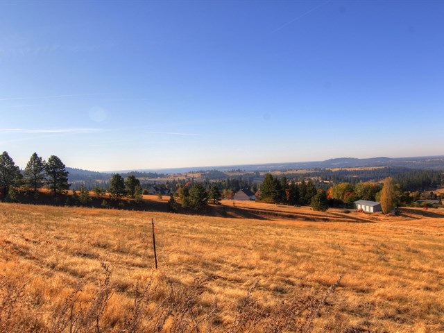 6315 South Custer Road Spokane, WA 99223 - Photo 5 of 18