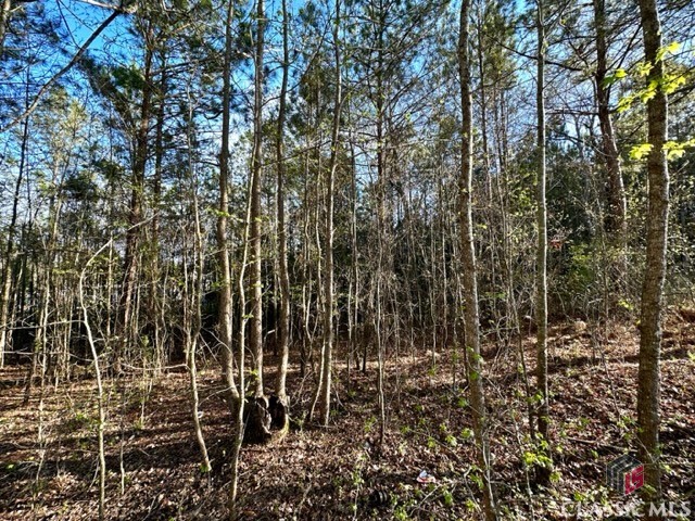 1 Dora Bush Hill Road McRae-Helena, GA 31037 - Photo 28 of 32
