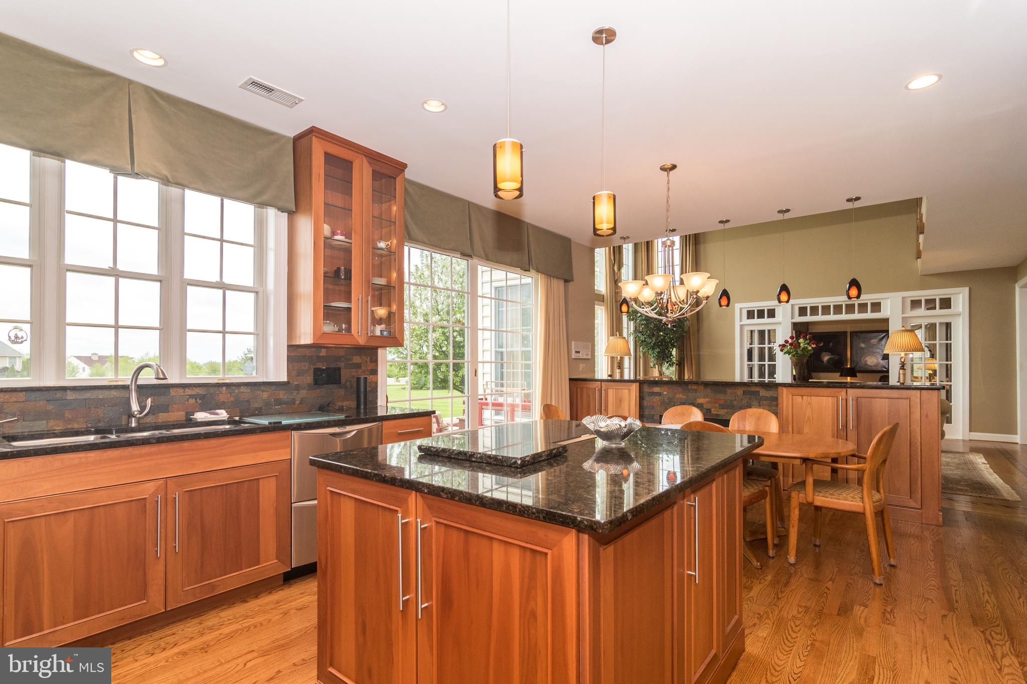 4548 Ridgetop Road Doylestown, PA 18902 - Photo 14 of 41 Gourmet kitchen with Lyptus wood cabinetry