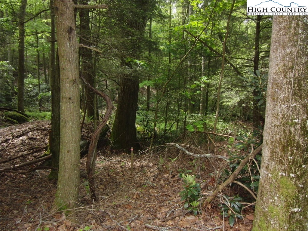 1-2 Evergreen Boone, NC 28607 - Photo 3 of 16 Gallery Image 3