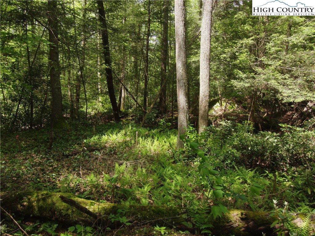 1-2 Evergreen Boone, NC 28607 - Photo 4 of 16 Gallery Image 4