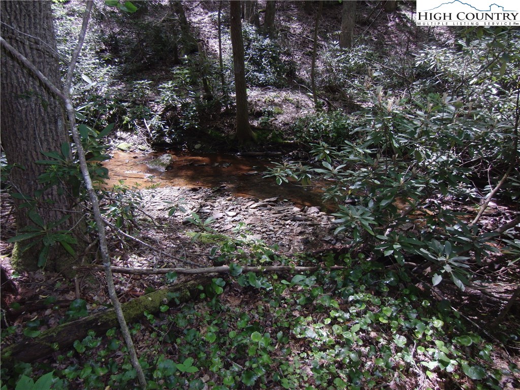 1-2 Evergreen Boone, NC 28607 - Photo 6 of 16 Gallery Image 6
