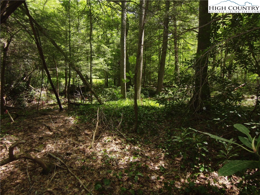 1-2 Evergreen Boone, NC 28607 - Photo 7 of 16 Gallery Image 7