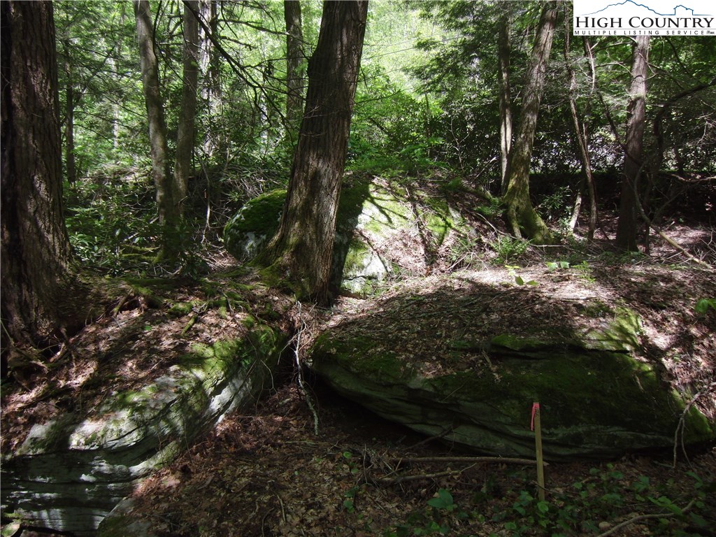 1-2 Evergreen Boone, NC 28607 - Photo 8 of 16 Gallery Image 8