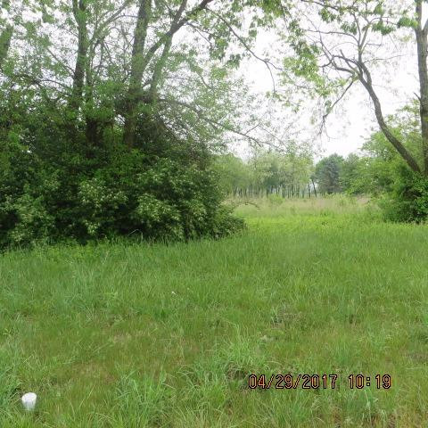 1 Cynthiana Road Paris, KY 40361 - Photo 3 of 3 Photo 3