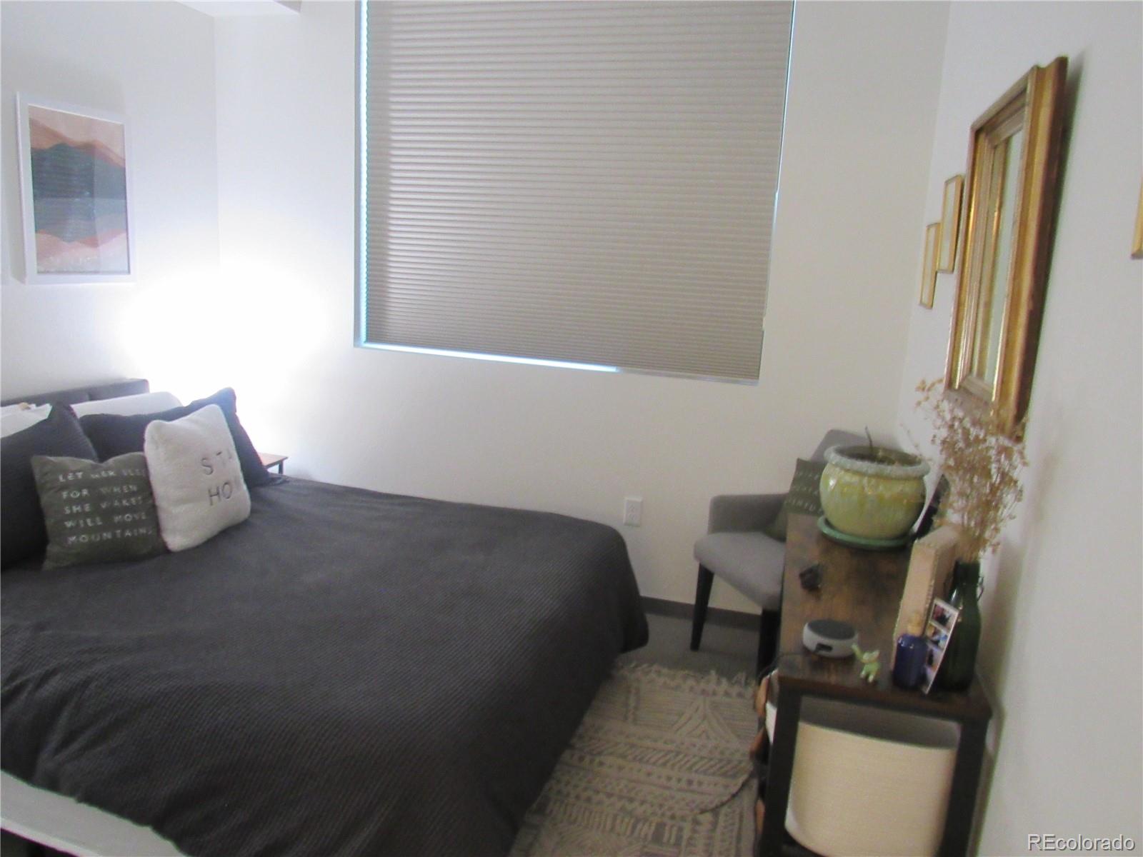 603 Inca Street, Unit 210 Denver, CO 80204 - Photo 19 of 20 Gallery Image 19