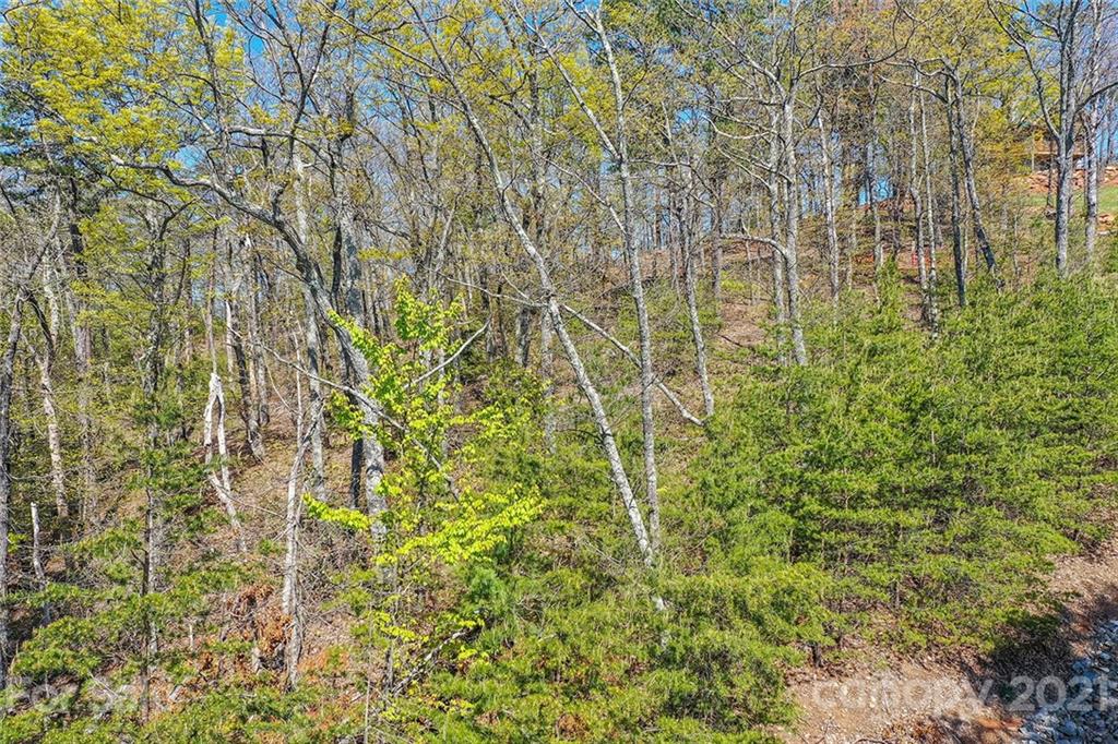 0 Burkemont Road, Unit 6 Morganton, NC 28655 - Photo 3 of 12 Gallery Image 3