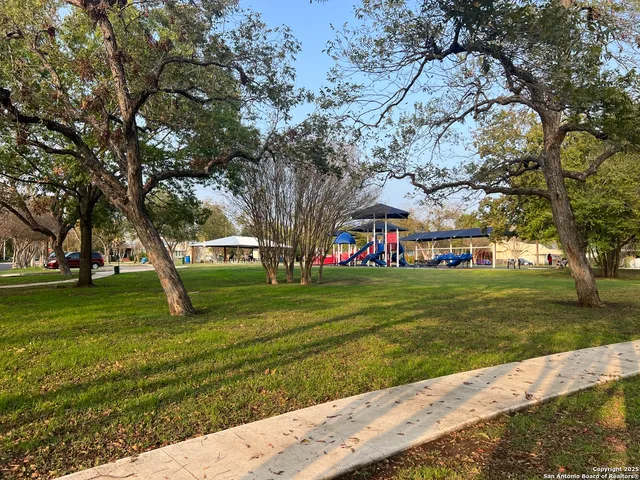 a view of a park with large trees