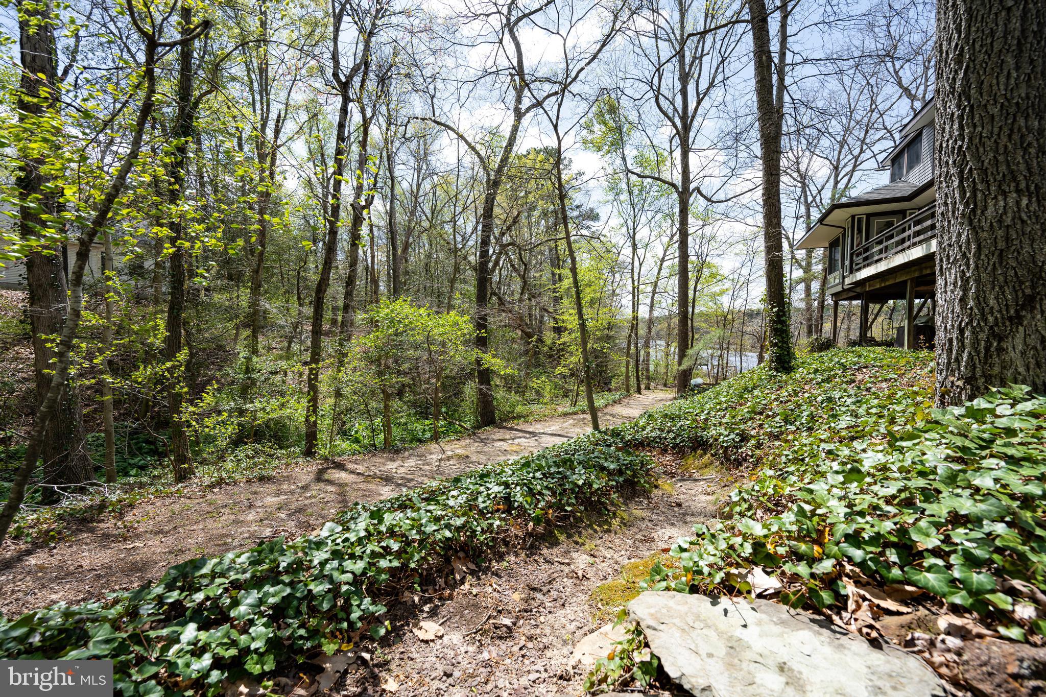 25305 Sandy Point Road Greensboro, MD 21639 - Photo 33 of 92 Gallery Image 33