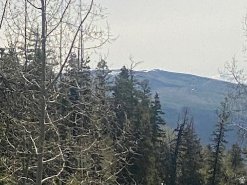 1798 West Alexander Road, Unit G65 Coalville, UT 84017 - Photo 9 of 11 Wooded mountain landscape featuring mature deciduous and evergreen trees with a distant mountain peak