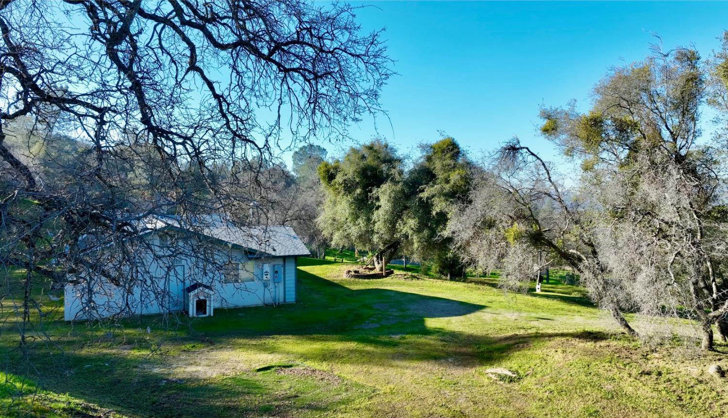 33072 Black Mountain Road Tollhouse, CA 93667 - Photo 41 of 45 a view of a playground with large trees