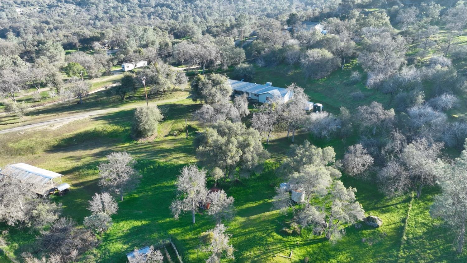 33072 Black Mountain Road Tollhouse, CA 93667 - Photo 44 of 45 an aerial view of residential houses with outdoor space and trees