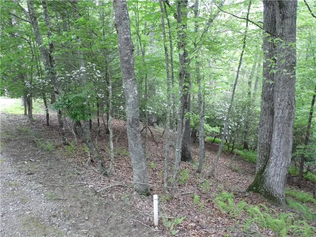 $18,500 | Tbd Deer Valley Road, Piney Creek, NC 28663