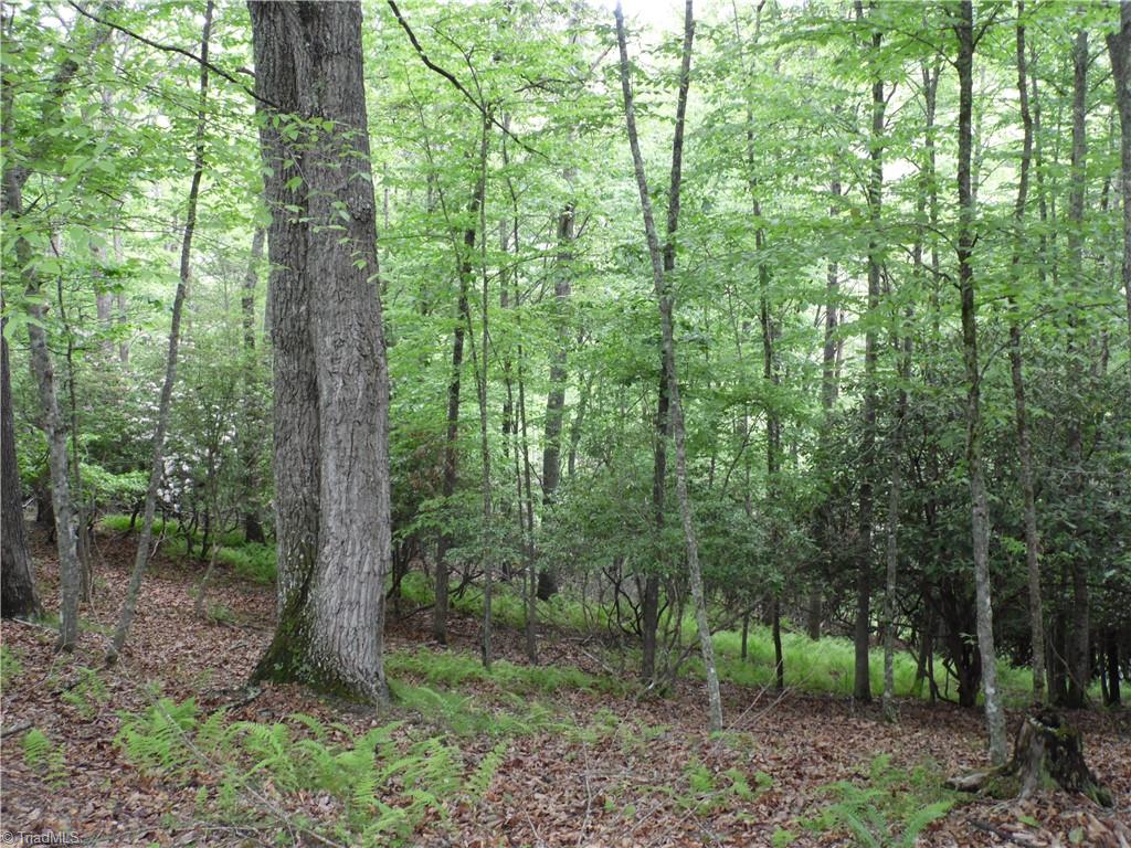 Tbd Deer Valley Road Piney Creek, NC 28663 - Photo 3 of 10