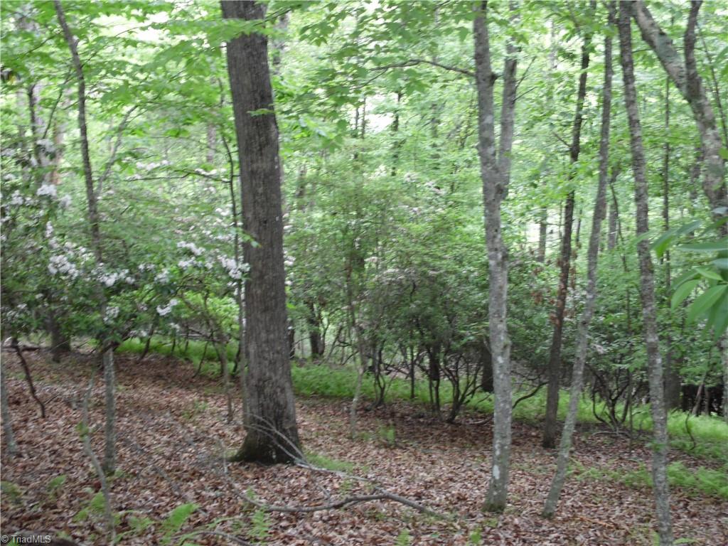 Tbd Deer Valley Road Piney Creek, NC 28663 - Photo 5 of 10