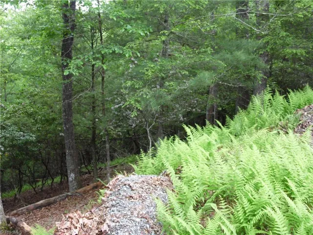$18,500 | Tbd Deer Valley Road, Piney Creek, NC 28663