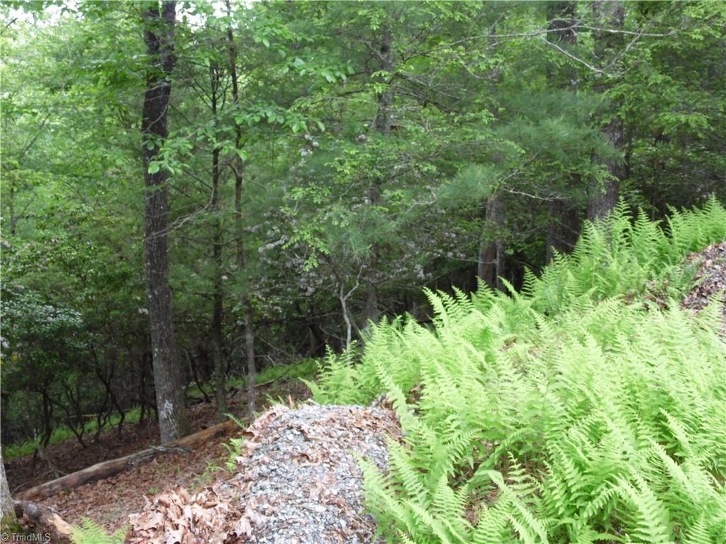 Tbd Deer Valley Road Piney Creek, NC 28663 - Photo 6 of 10