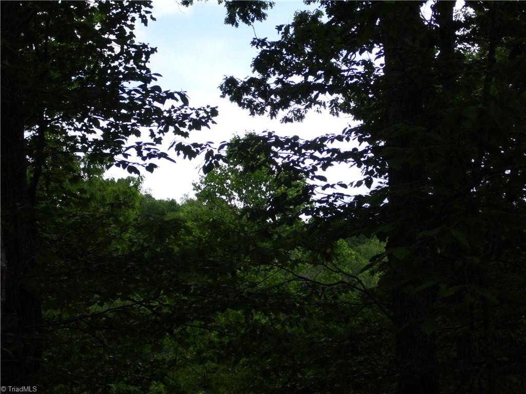 Tbd Deer Valley Road Piney Creek, NC 28663 - Photo 7 of 10