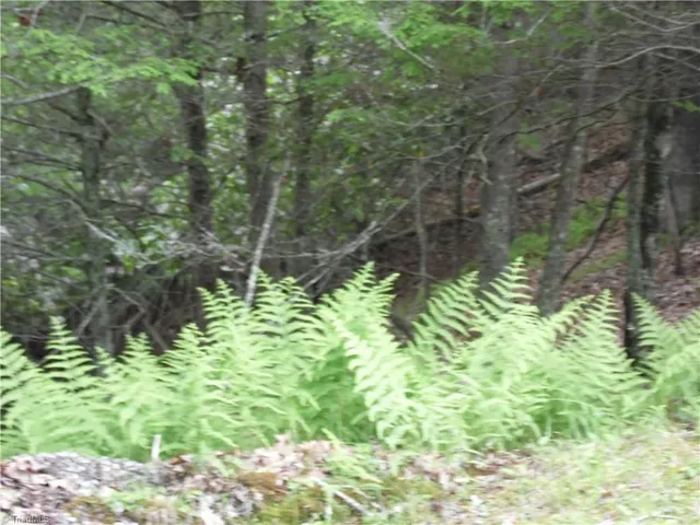 $18,500 | Tbd Deer Valley Road, Piney Creek, NC 28663