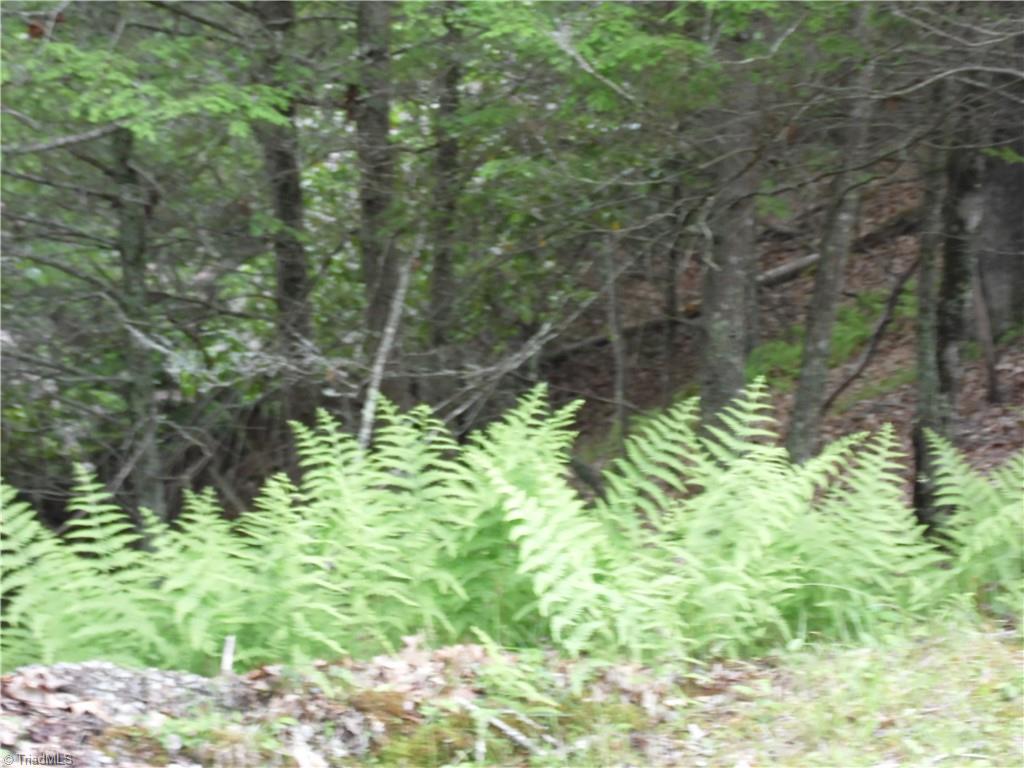 Tbd Deer Valley Road Piney Creek, NC 28663 - Photo 8 of 10