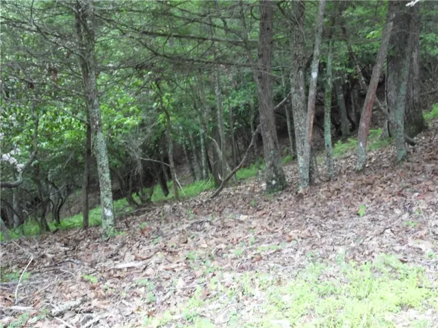 $18,500 | Tbd Deer Valley Road, Piney Creek, NC 28663
