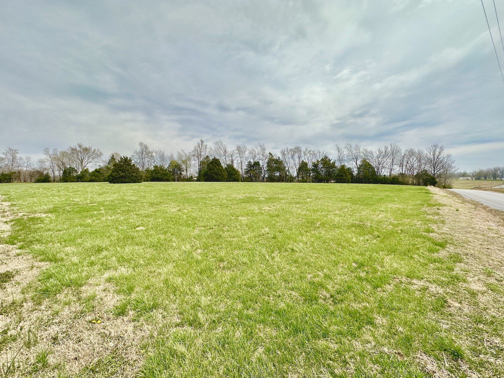 358 Jimtown Road Woodbury, TN 37190 - Photo 4 of 15 a view of field with trees in the background