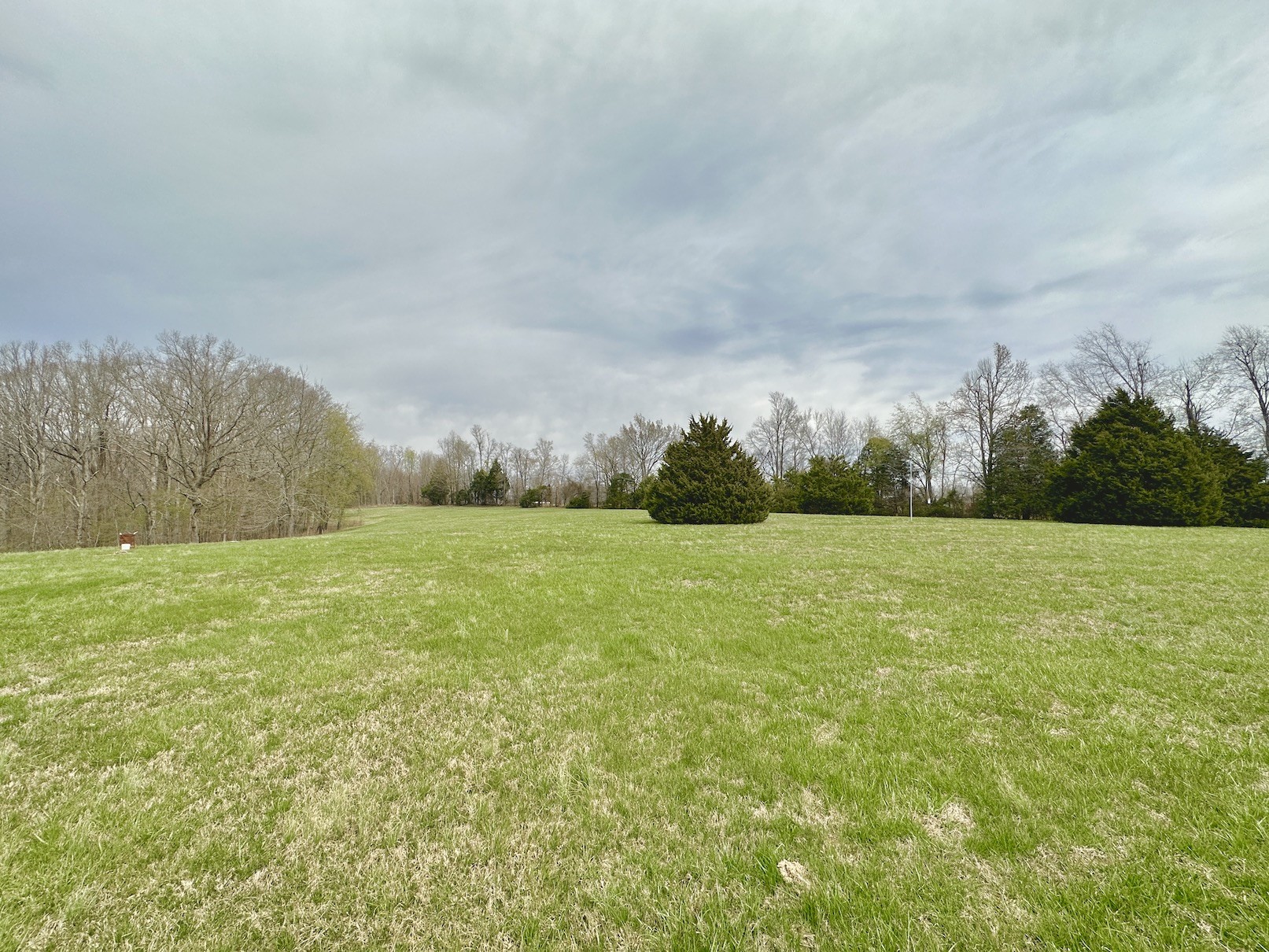 358 Jimtown Road Woodbury, TN 37190 - Photo 5 of 15 a view of outdoor space with green field and trees