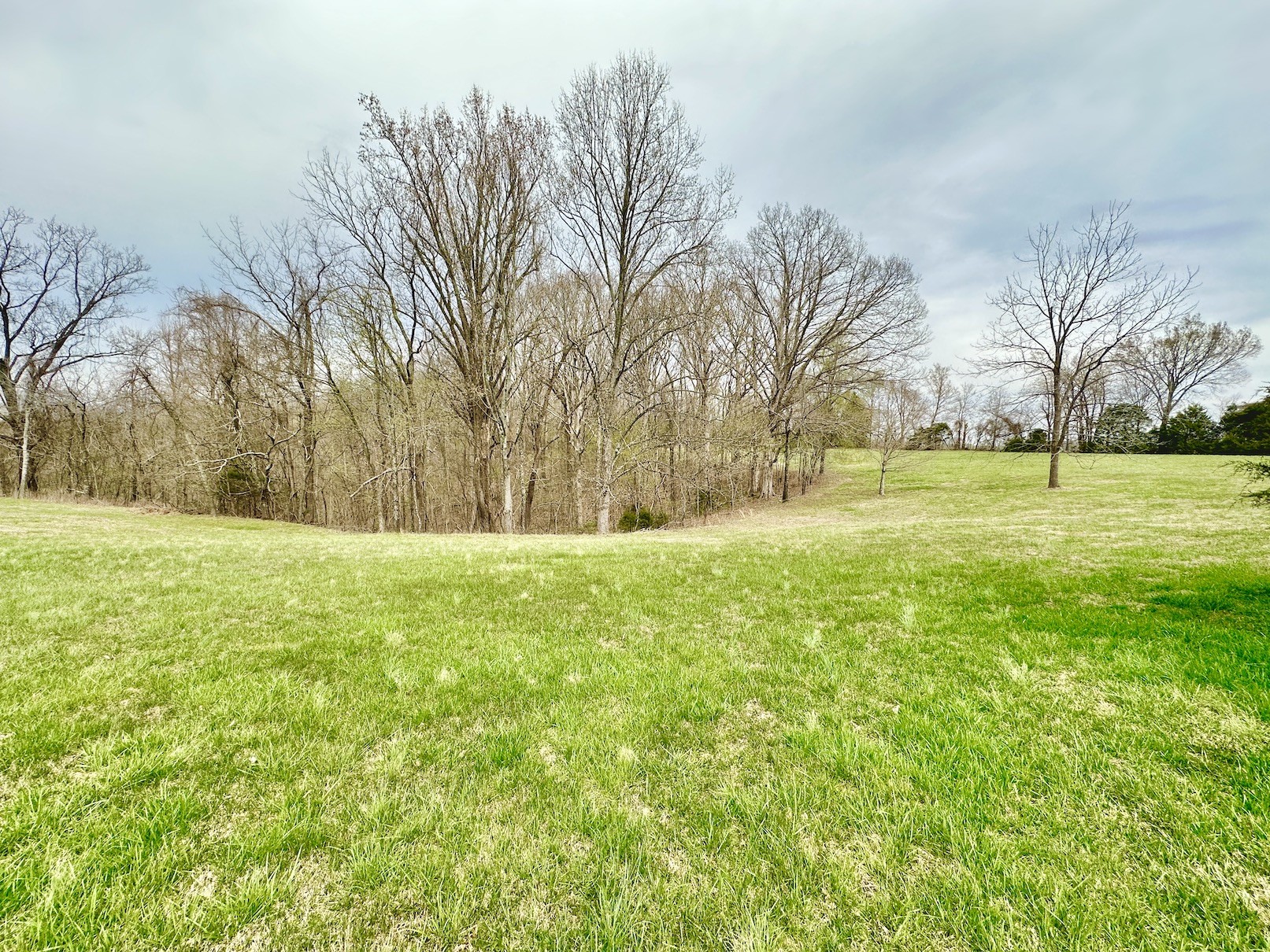 358 Jimtown Road Woodbury, TN 37190 - Photo 7 of 15 a view of outdoor space with yard and trees all around