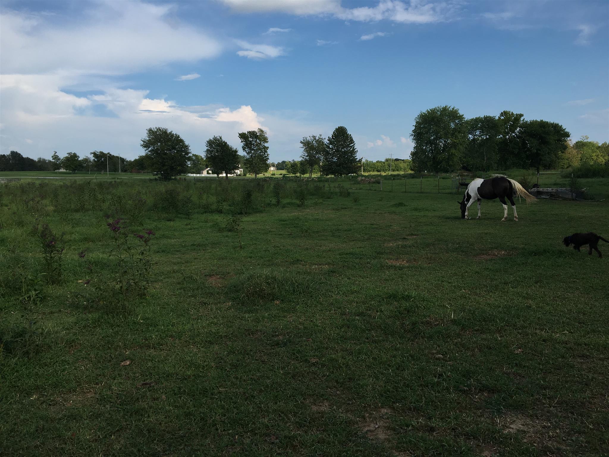 1676 B Dodson Road Columbia, TN 38401 - Photo 1 of 5