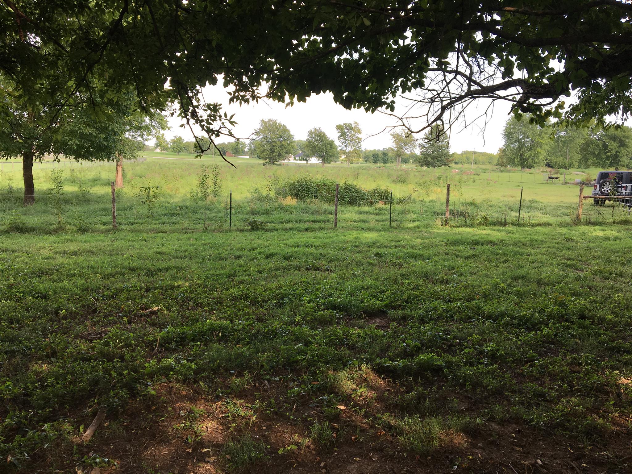 1676 B Dodson Road Columbia, TN 38401 - Photo 5 of 5