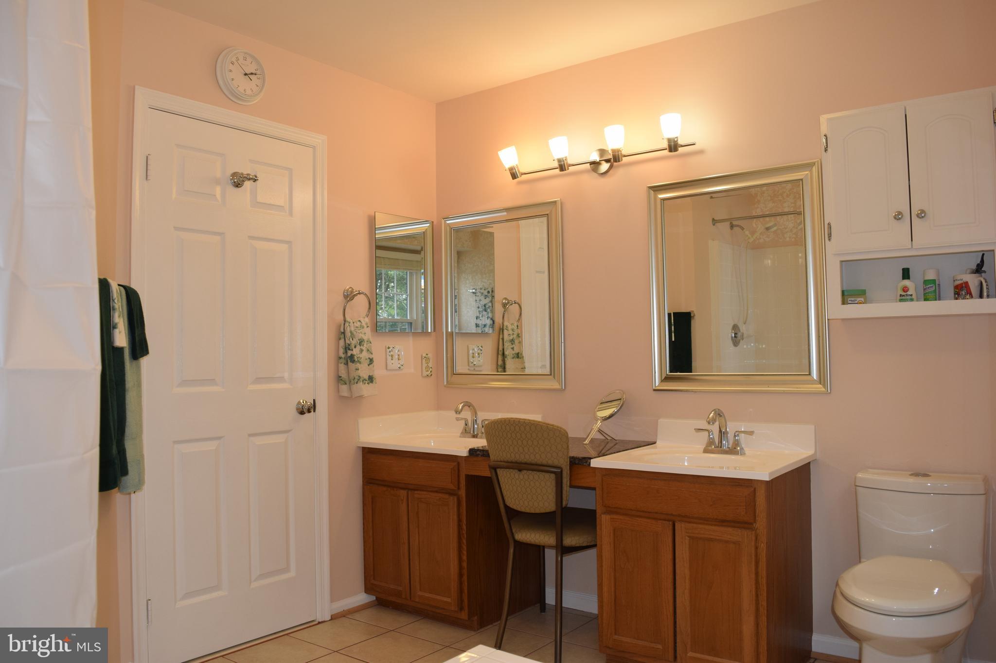 8198 Barnwood Road Manassas, VA 20110 - Photo 30 of 48 Gorgeous Double Vanity in Master Spa Bath