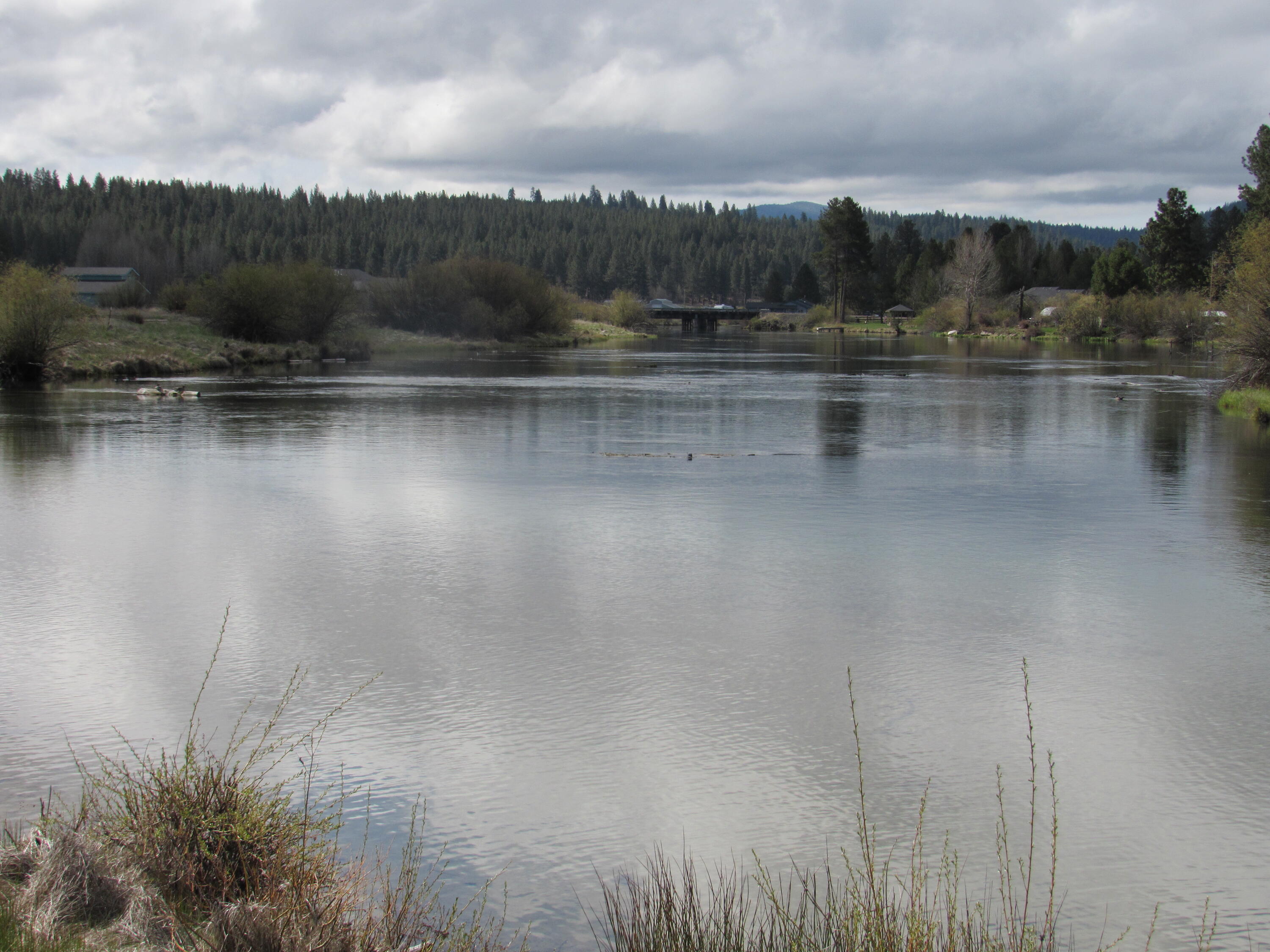 0 Longhorn Loop, Unit 883882 Chiloquin, OR 97624 - Photo 6 of 11 Williamson River for fishing Common area