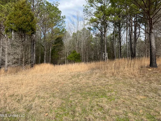$700,000 | West Ruffin Road, Enid, MS 38927