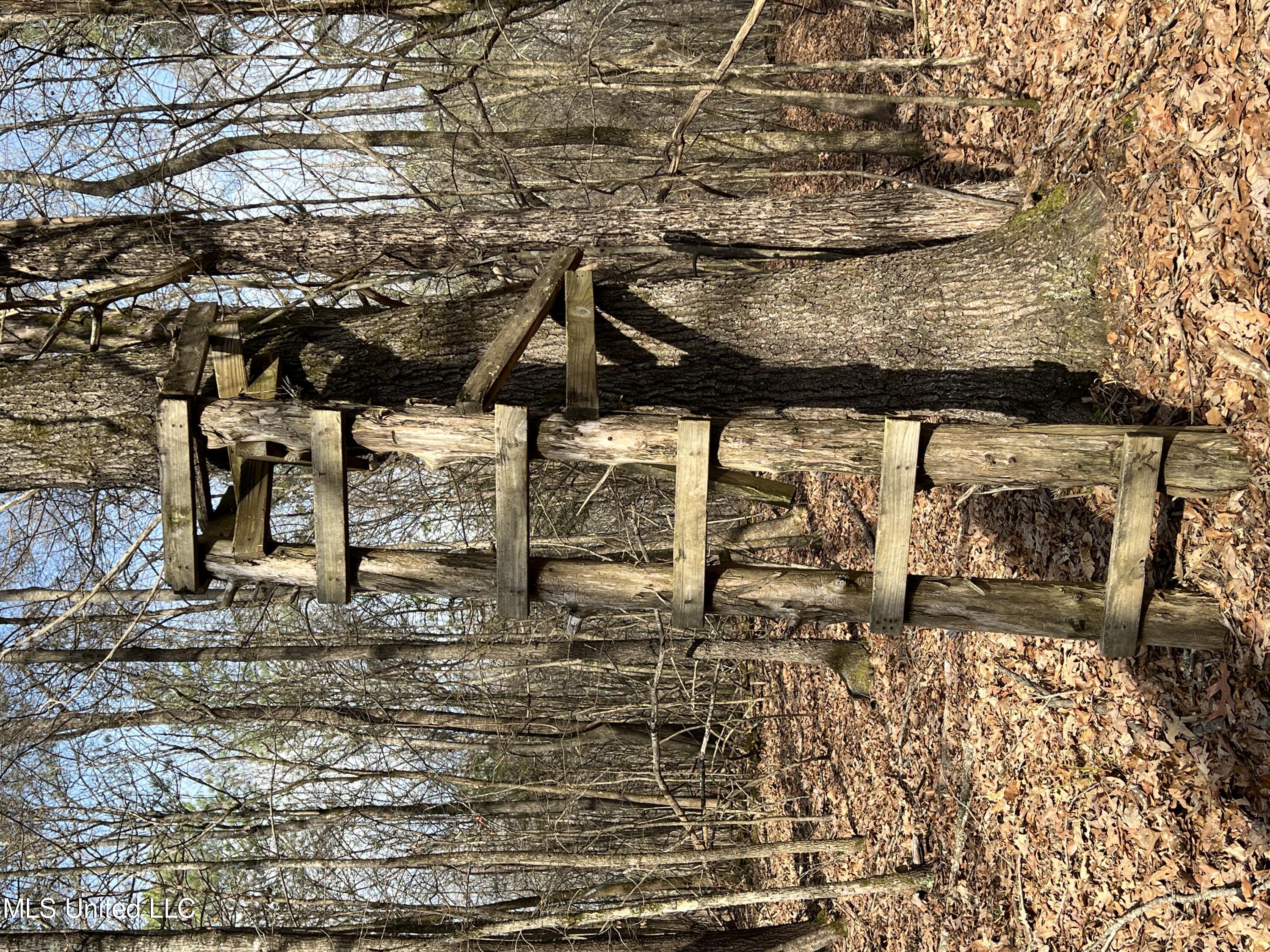 West Ruffin Road Enid, MS 38927 - Photo 14 of 40 25