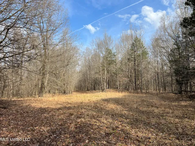 $700,000 | West Ruffin Road, Enid, MS 38927