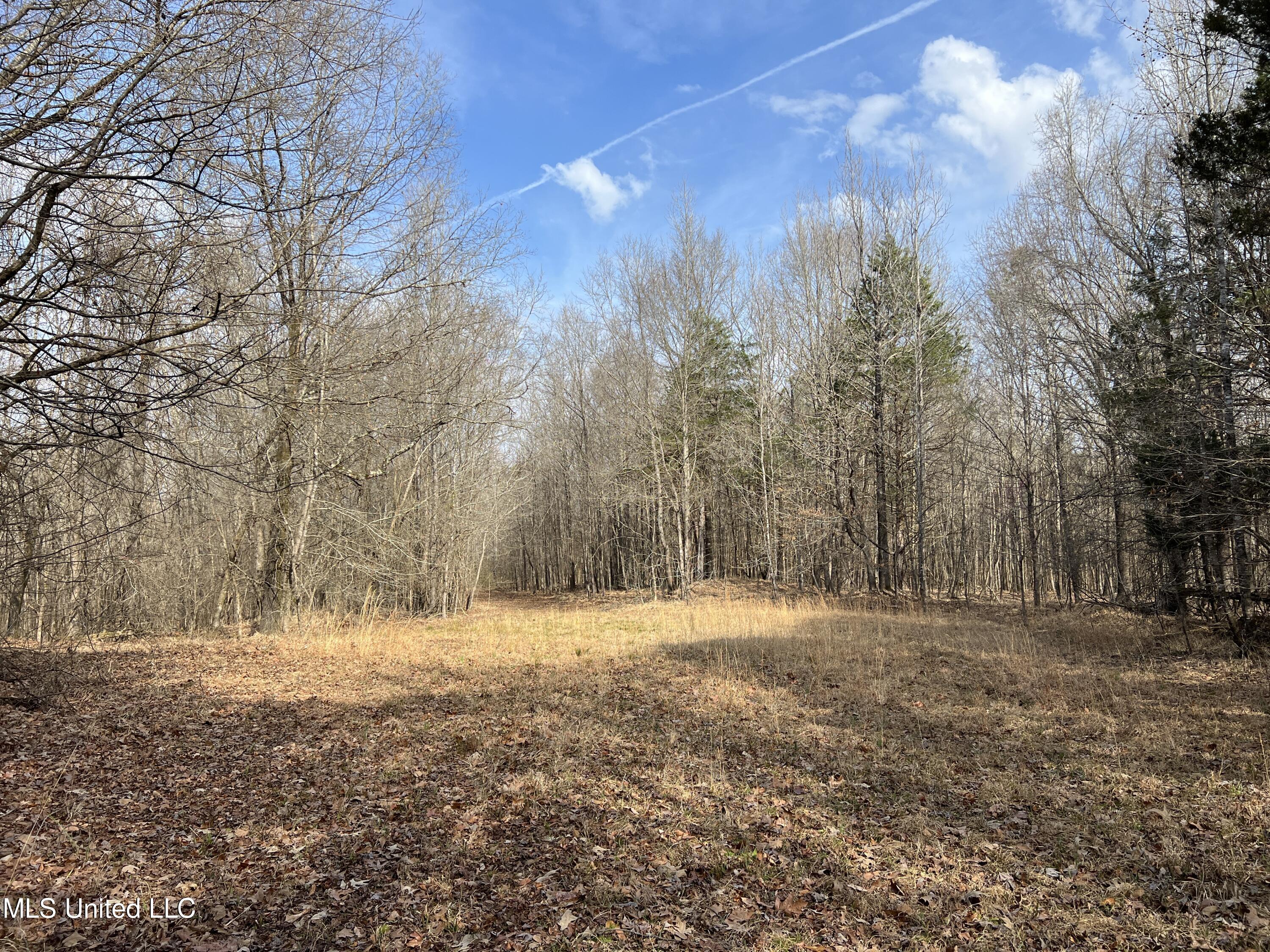 West Ruffin Road Enid, MS 38927 - Photo 15 of 40 24