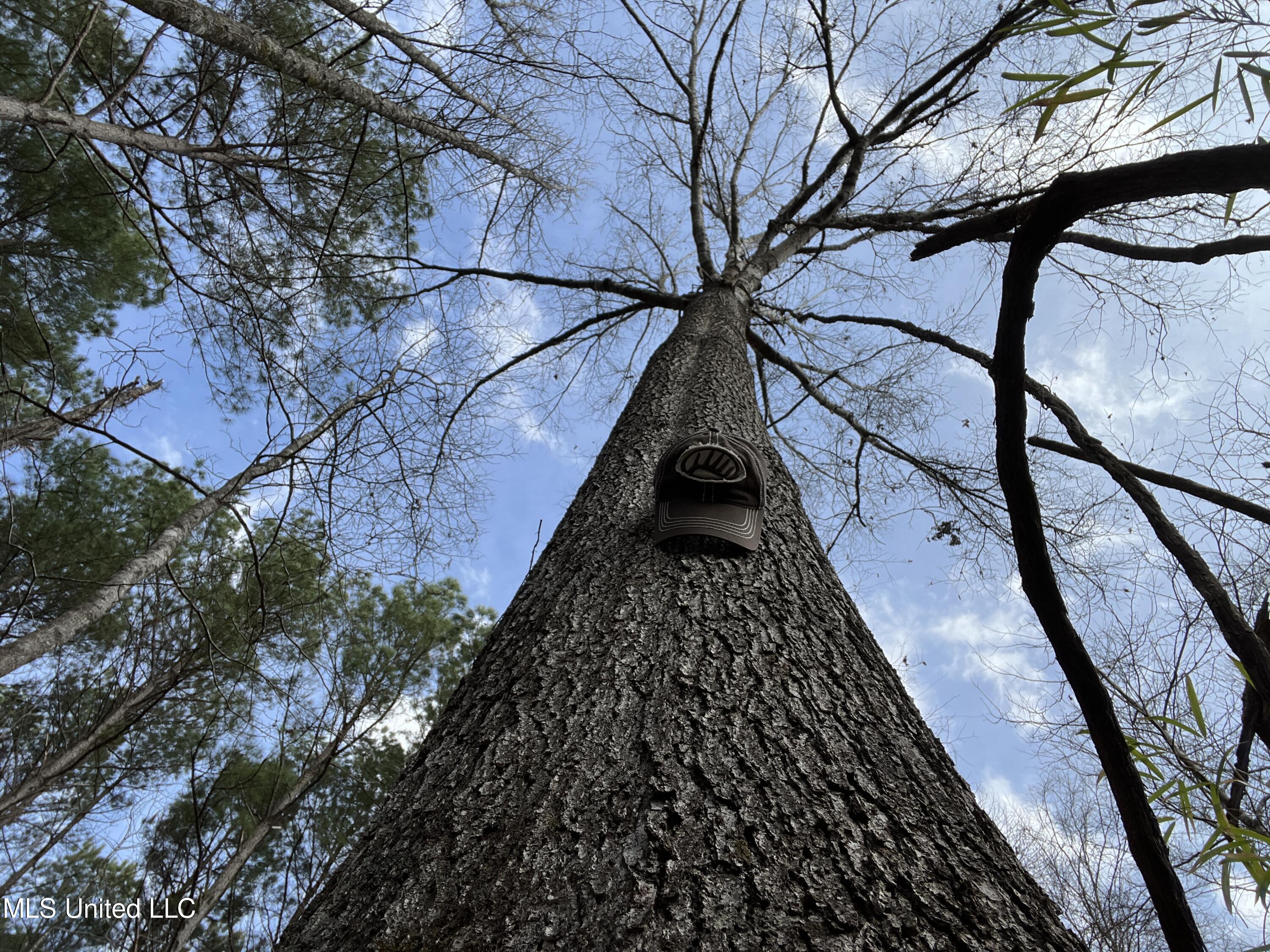 West Ruffin Road Enid, MS 38927 - Photo 16 of 40 23