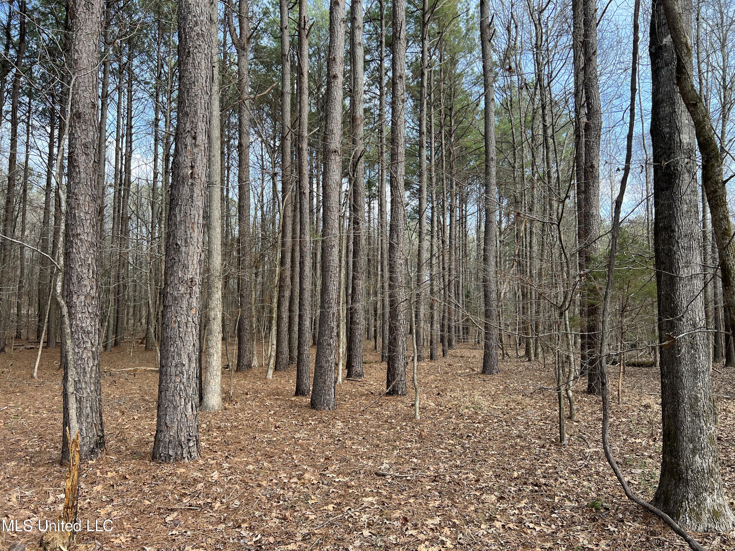 West Ruffin Road Enid, MS 38927 - Photo 18 of 40 21