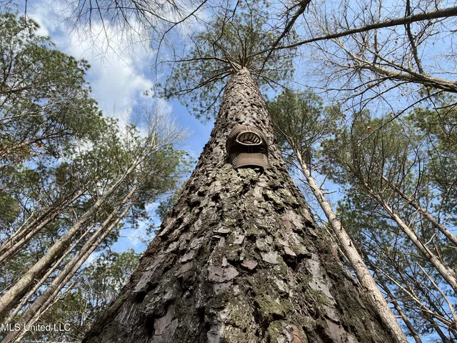 $700,000 | West Ruffin Road, Enid, MS 38927